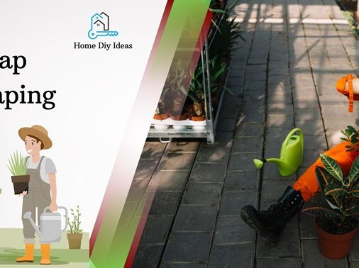 Cheap landscaping ideas