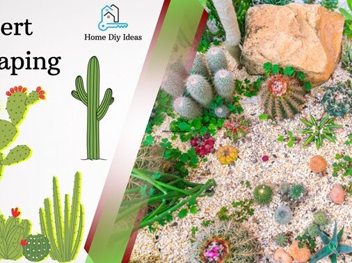 Desert landscaping ideas