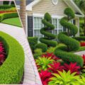 Florida Landscaping Plants: Top Picks for Heat and Humidity