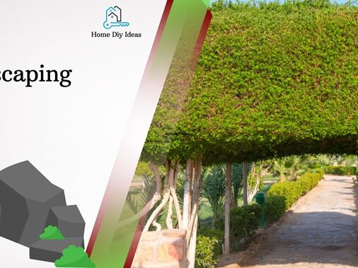 Retaining Wall Wonders