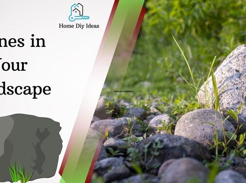Stones in Your Landscape