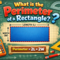 What is the perimeter of a rectangle